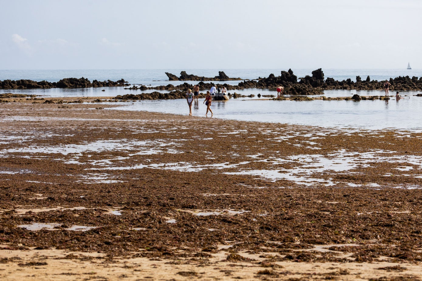 Dos personas vuelven de pasear por el agua, en un rincón con menos algas.