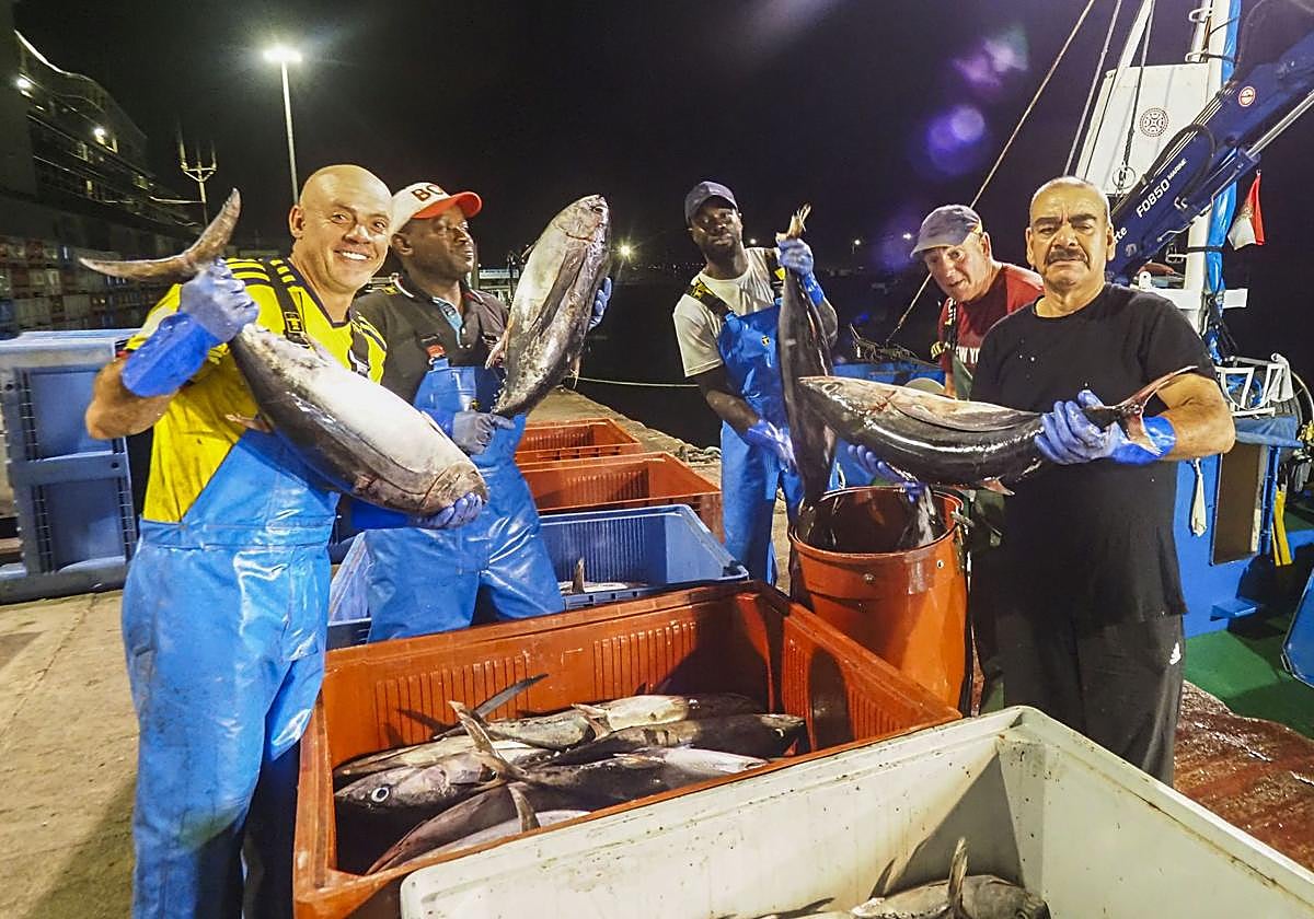 Descarga de bonito en Santoña, durante esta campaña de 2025.