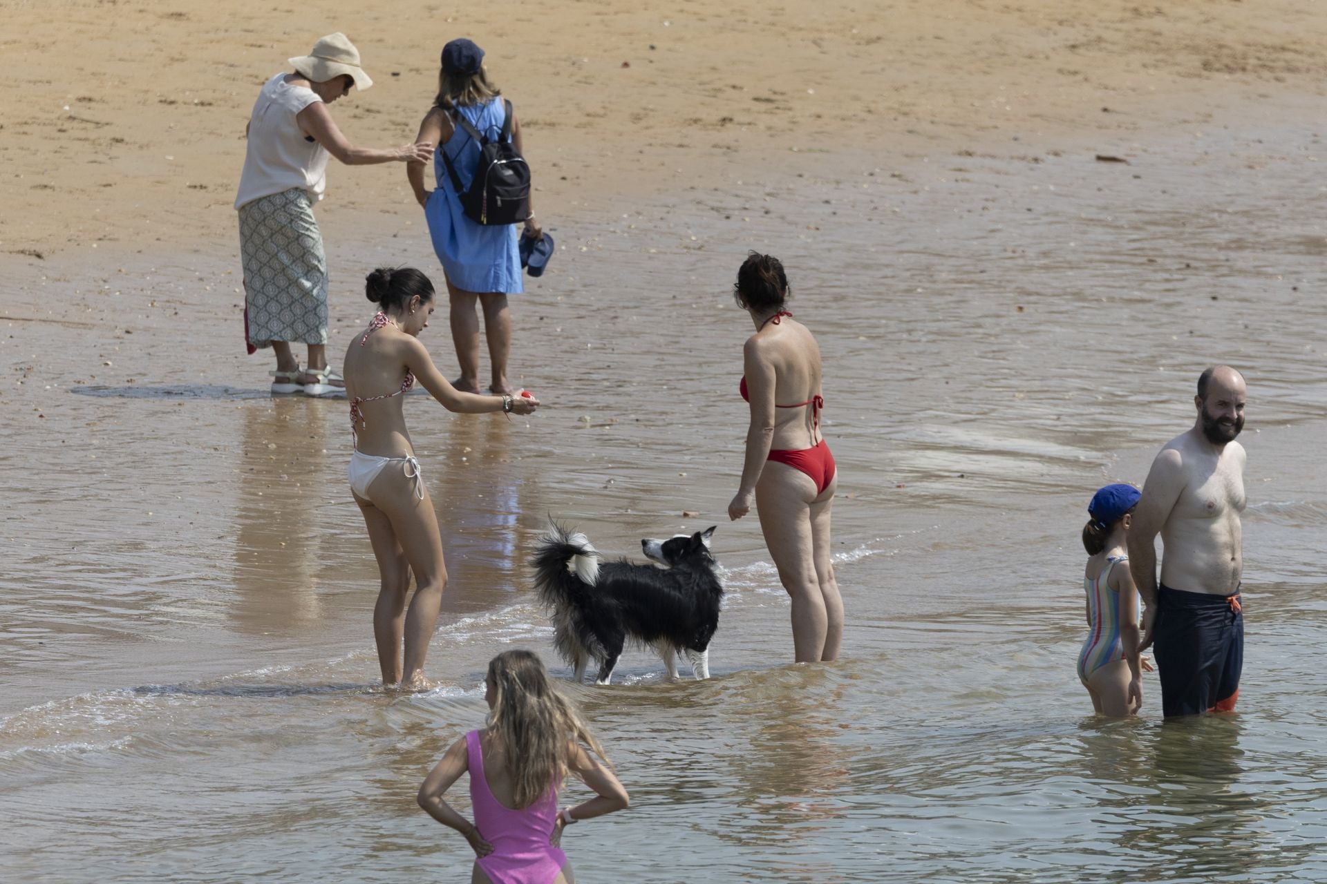 Un perro, en la orilla, observado por varios bañistas