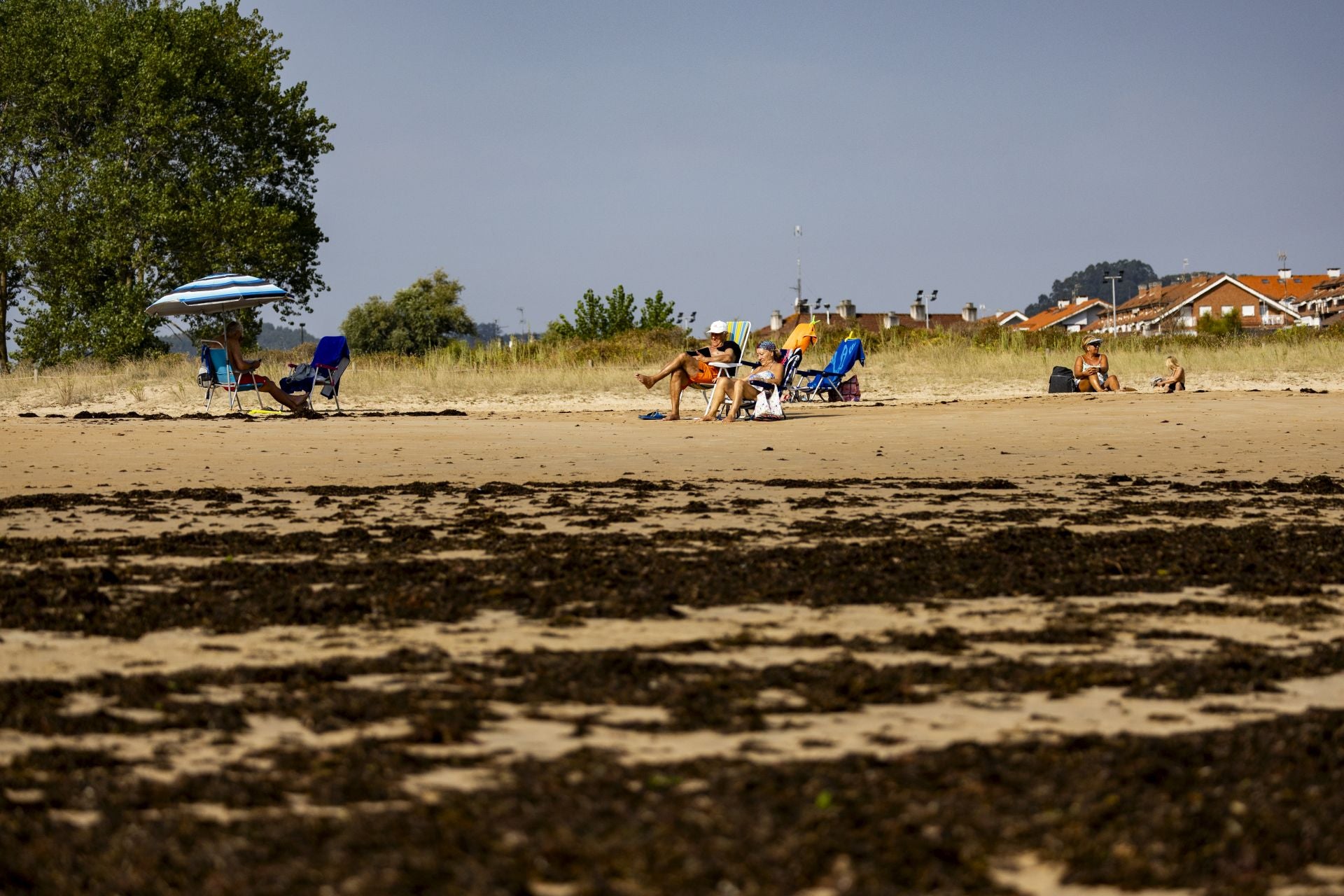 El primer día se sacaron 200 toneladas, el segundo 420 y el tercero más de mil. Ayer mismo les tocó faena a las 19.30, cada vez más pronto.