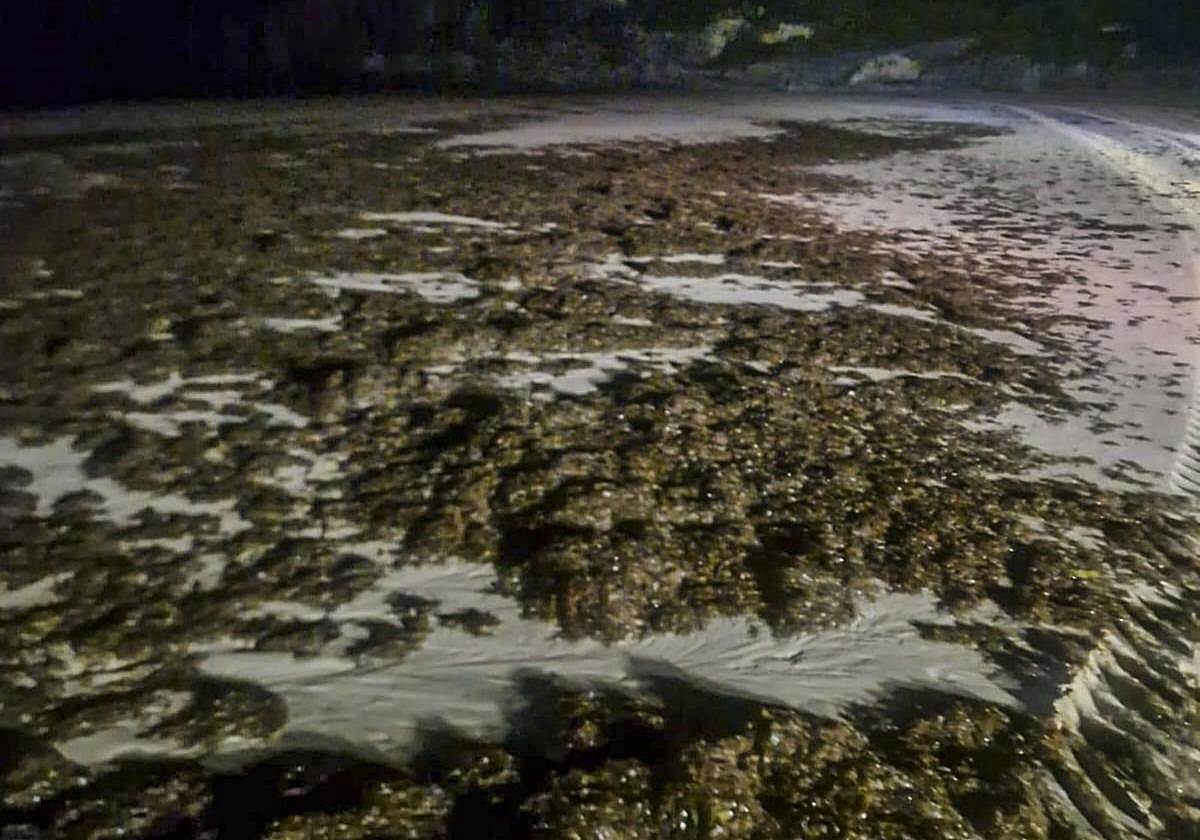 Estado de la playa de Berria en la noche del martes.