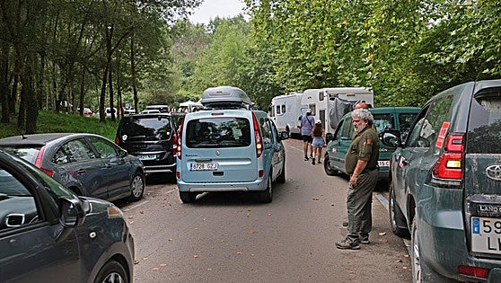 Otro verano de caos circulatorio en los accesos al bosque natural de las secuoyas de Cabezón de la Sal