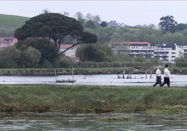 Marismas de El Astillero.