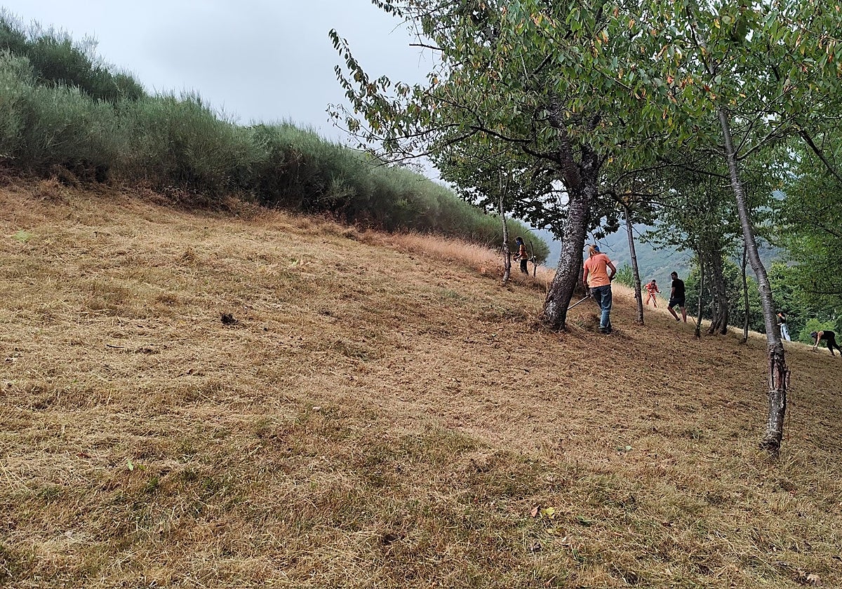 Vecinos del valle de Valdeón trabajan esta mañana en la zona.