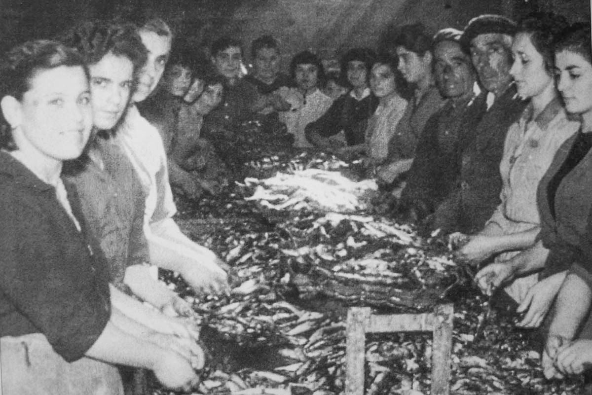 Trabajadores descabezando en la fábrica de Consorcio en los 60.