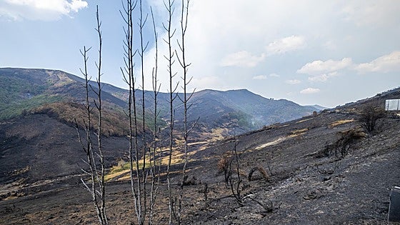 Cantabria se asoma a las cenizas de León