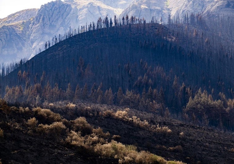 Las consecuencias del fuego