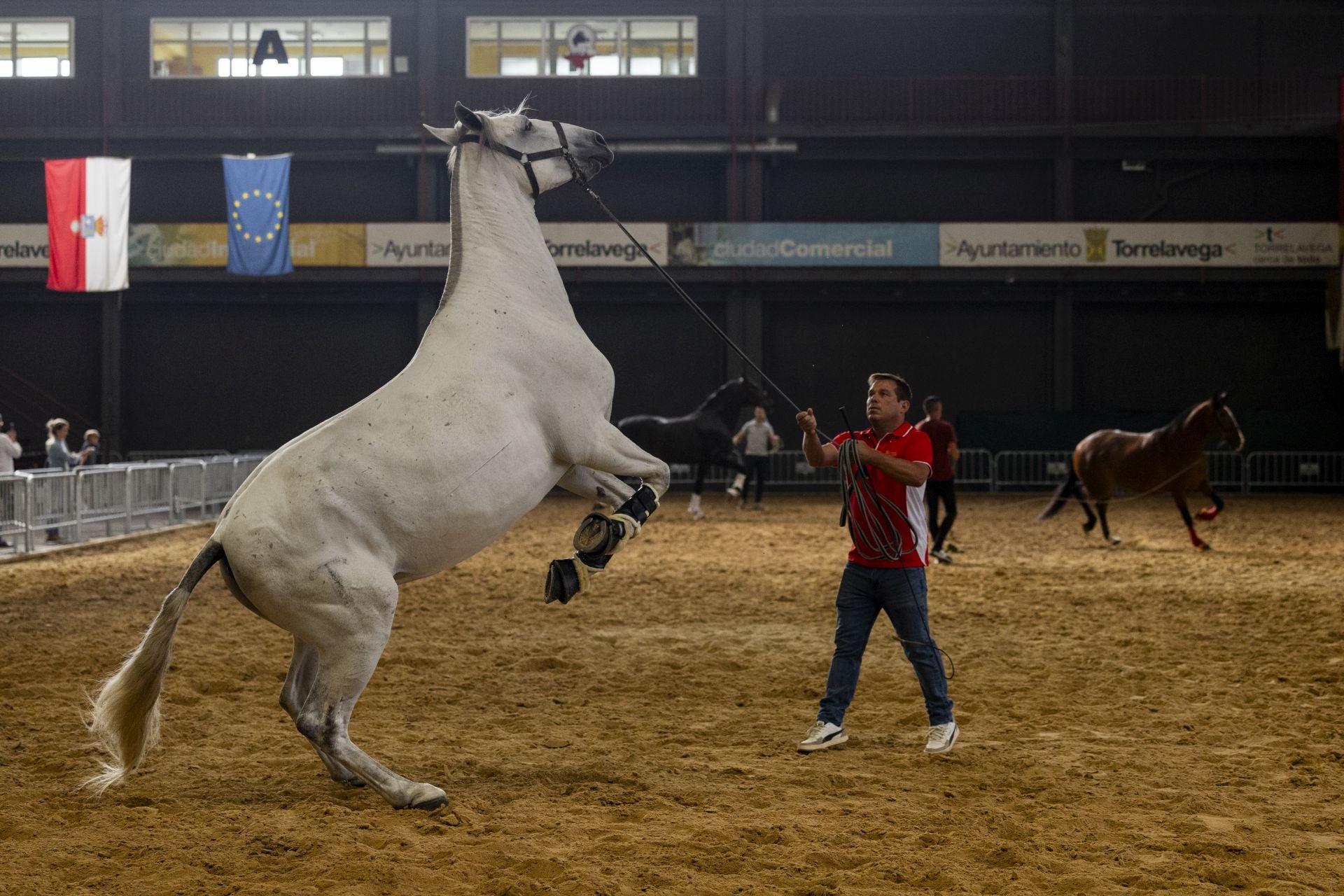 Un caballo en la pista de ensayo junto a su criador.