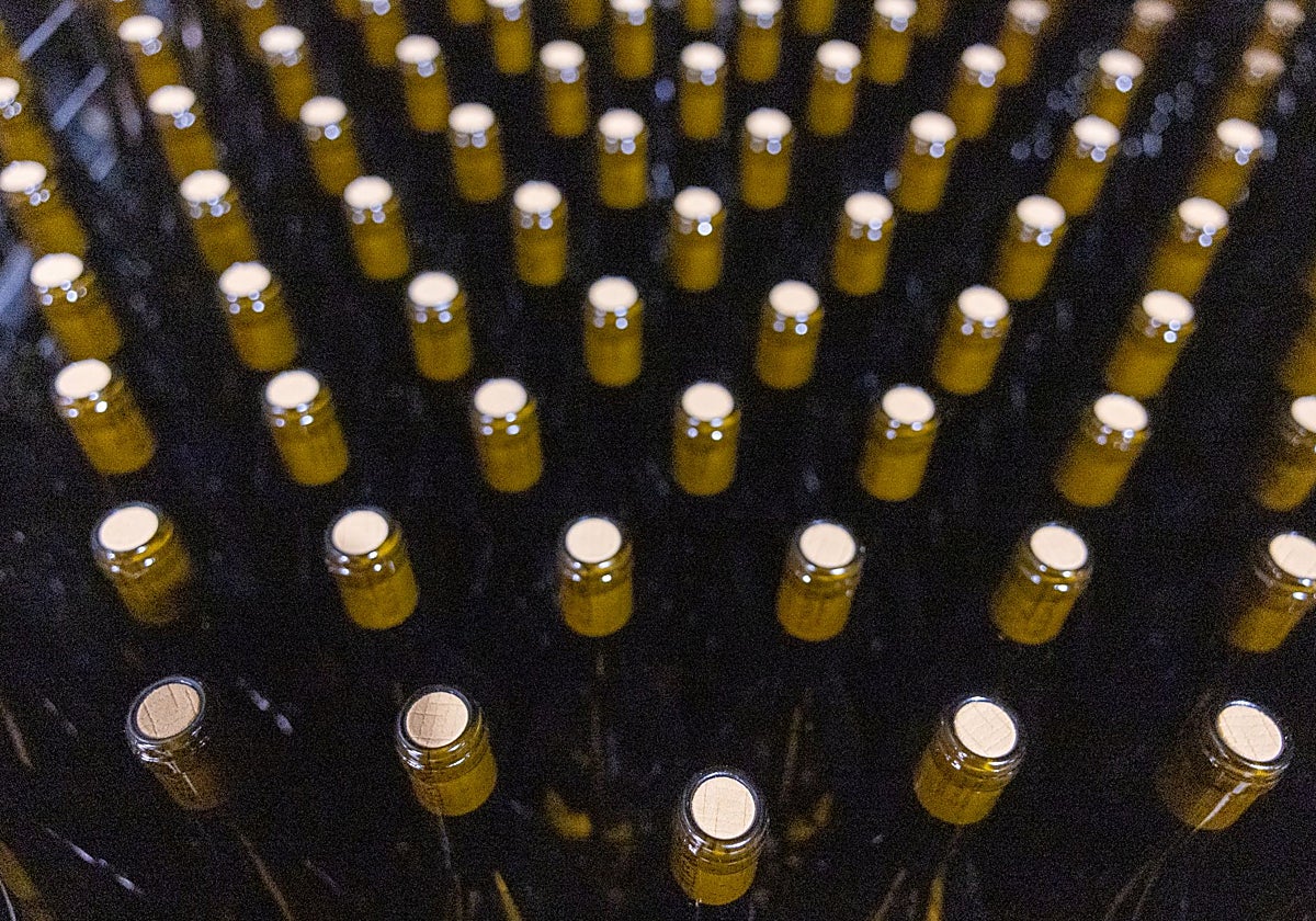 Decenas de botellas de vino en una bodega española.