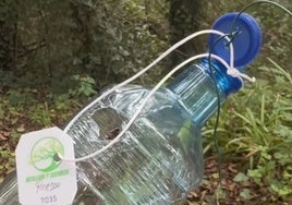 Trampa de avispa asiática.