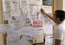 Un estudiante que busca piso para compartir mira un tablón repleto de anuncios.