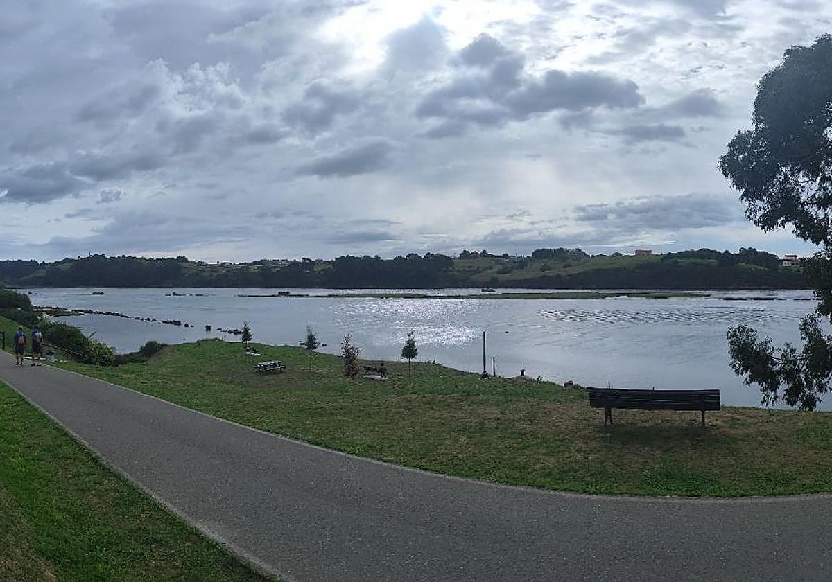 Área recientemente rehabilitada en la senda ciclable.