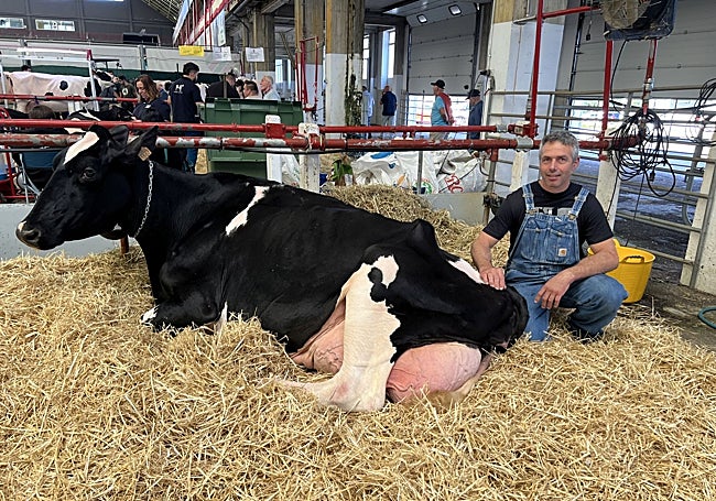 La gran campeona de 2024, Llinde Ariel Jordan, de la ganadería SAT Ceceño, junto con Agapito Fernández, su responsable. Este año la supercampeona no participará ya que está a punto de parir... El concurso se presenta más abierto.
