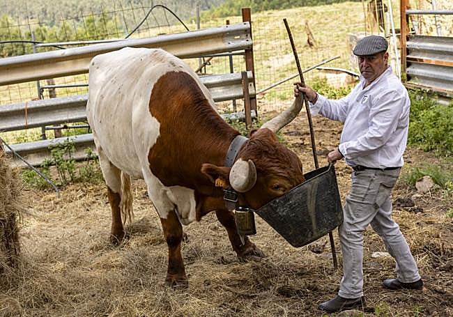 Agustín da de comer a Pajarito.