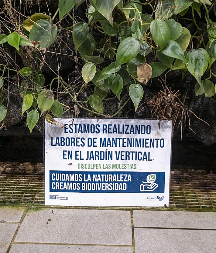 Imagen secundaria 2 - El jardín vertical de Tabacalera está deteriorado y con especies «seriamente dañadas»