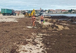 Dos bañistas caminaban ayer por la playa de Trengandín entre las algas asiáticas, que son retiradas por las palas excavadoras.