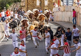 Uno de los encierros de Ampuero del pasado año durante las fiestas de la Virgen Niña.