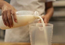 La leche, además del consumo líquido es materia prima para otras elaboraciones lácteas y en la cocina.