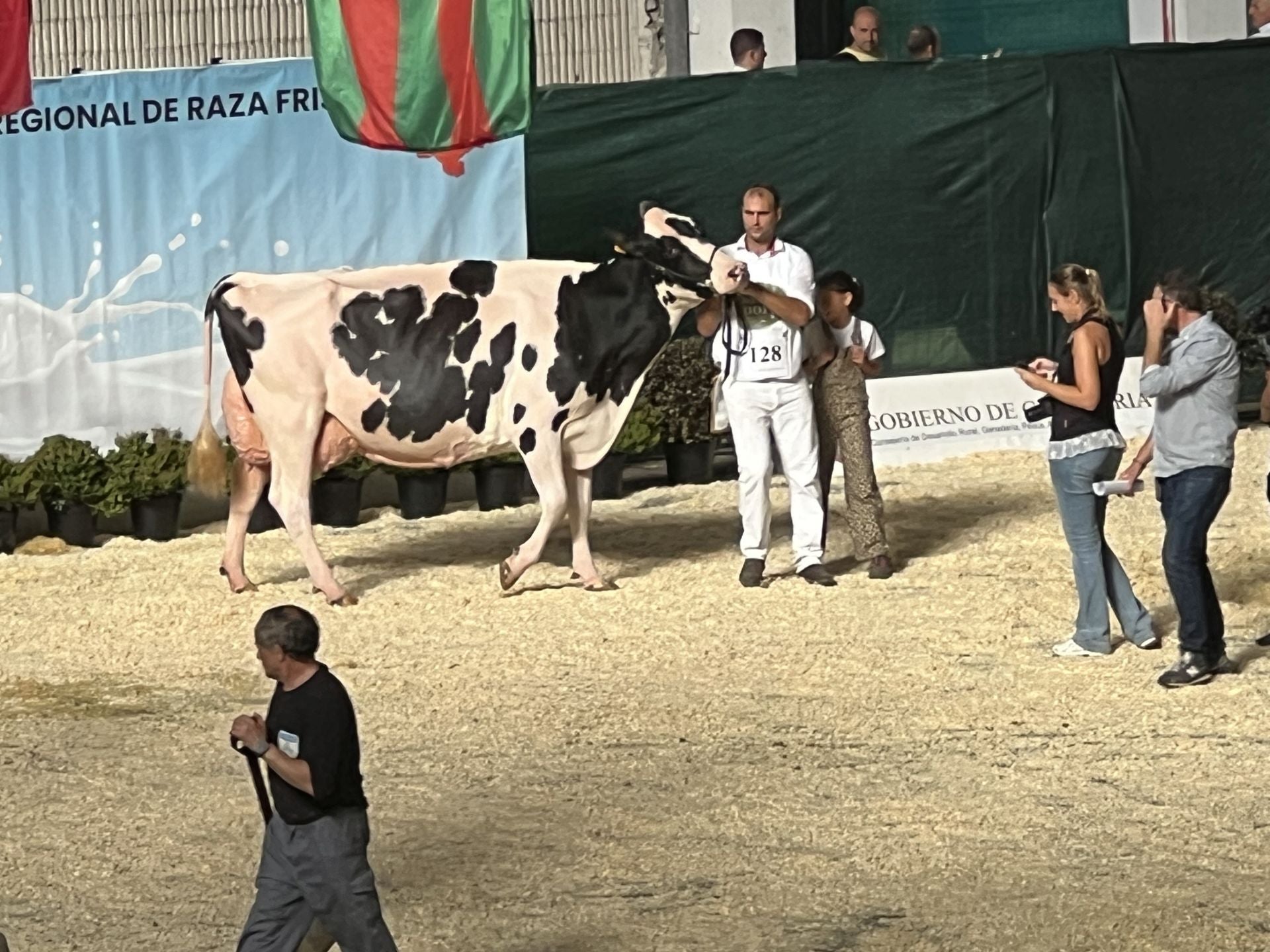 Zona de estabulación de la vacas donde descansaban antes y después de salir a la pista.