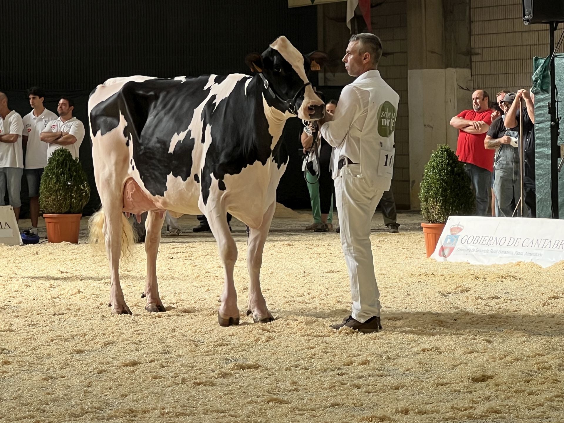 Cudaña Arenetes Dallas durante una de las pruebas en la pista manejada por Adrián Entrecanales, que se hizo con el premio al mejor manejador.