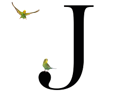 Juan V. Navarro Baldeweg en el mirador de los periquitos de Australia