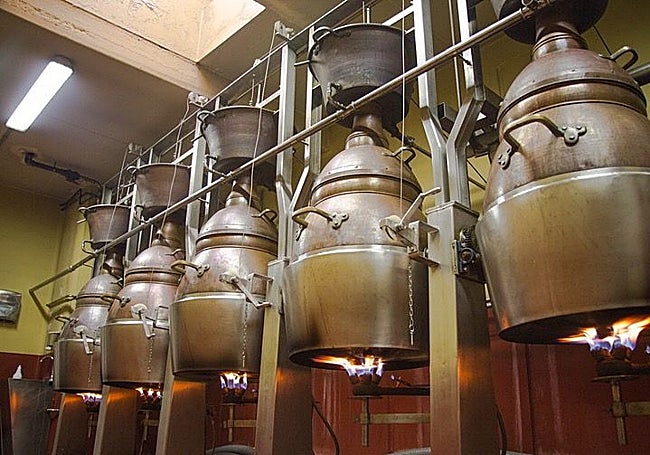 Alquitaras de cobre en plena destilación.