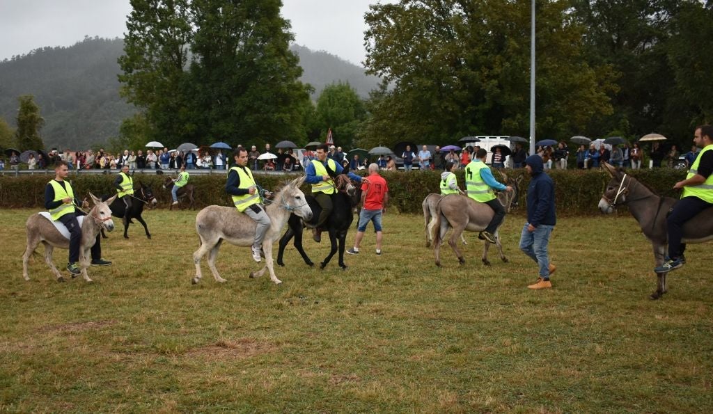 Participantes en la carrera de burros de Molledo.