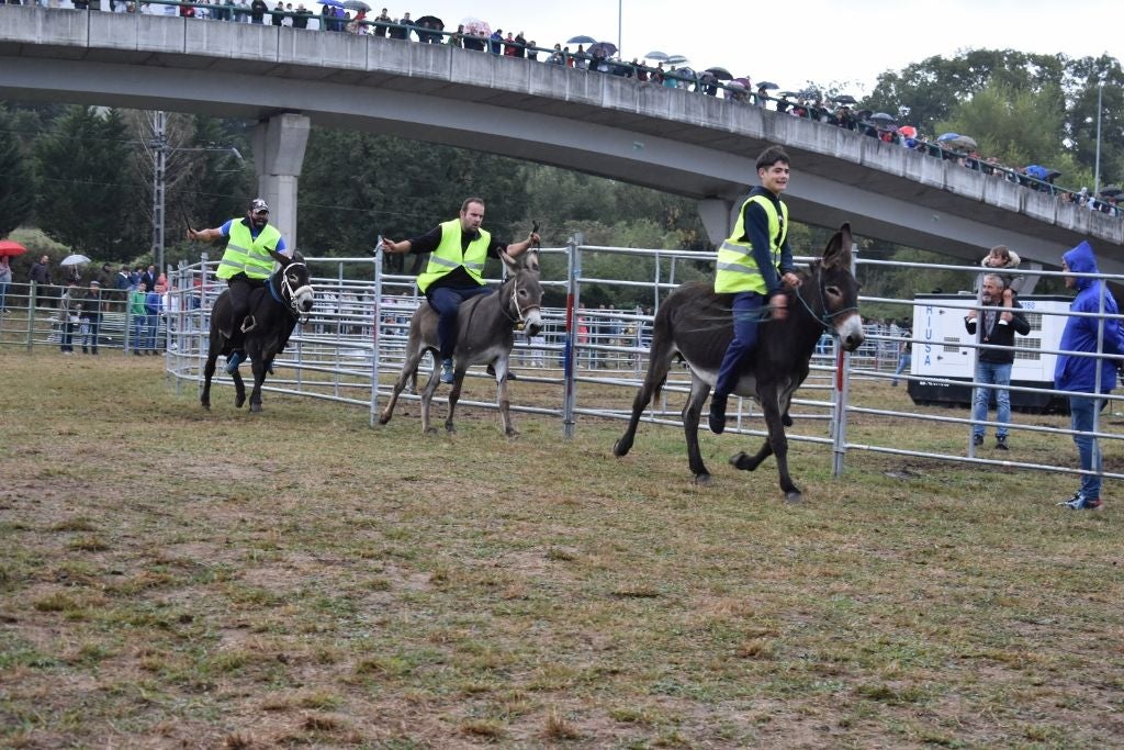 Uno de los momentos de la carrera de burros Virgen del Camino.