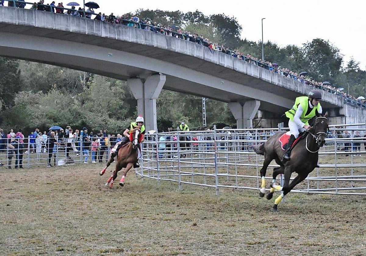 Un momento de la carrera de purasangres de las fiestas de Molledo.