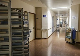 Bandejas para servir la comida a los pacientes en un pasillo del Hospital Sierrallana.