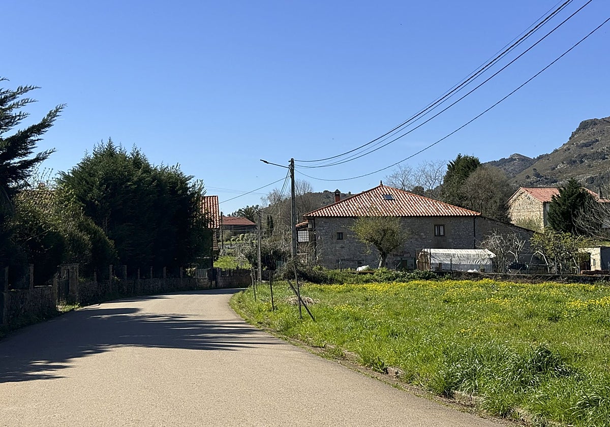 Barrio de Tarriba en Pámanes donde se encuentra la ganadería intervenida e investigada.