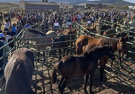 Imagen de la feria en 2023