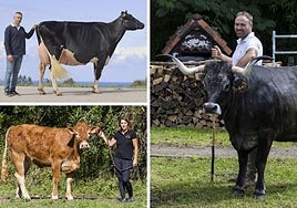 Linde Ariel Jordan, Vela y La Chata reflejan la excelencia de la ganadería en Cantabria.