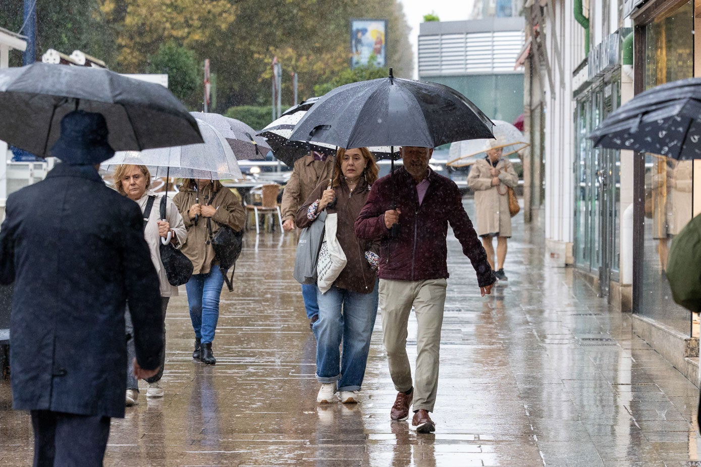 El centro de Santander plagado de paraguas este lunes.
