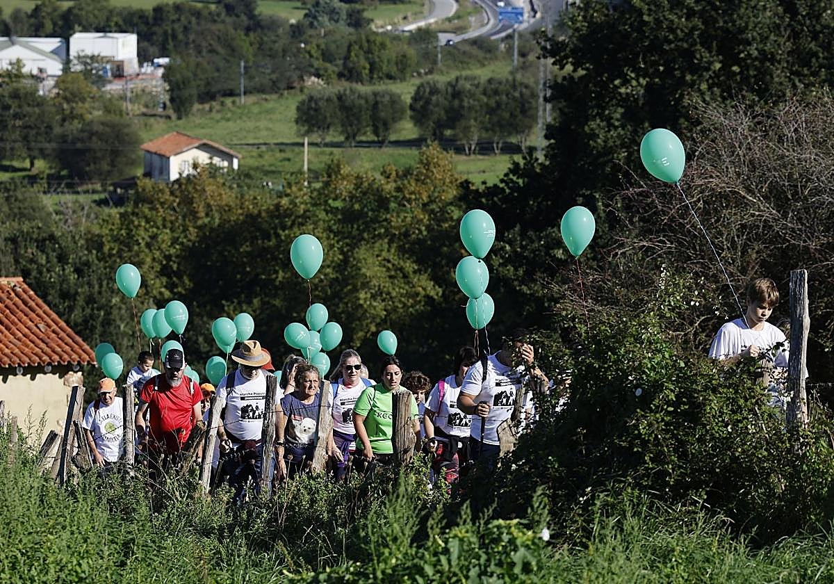 Imagen de la marcha del año pasado