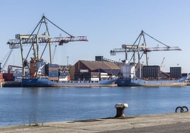 Las dos grúas de Santander descargan sendos barcos en la terminal de contenedores.