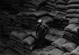 «Los garfios brillan en las manos de los estibadores, el olor a chocolate lo inunda todo»...