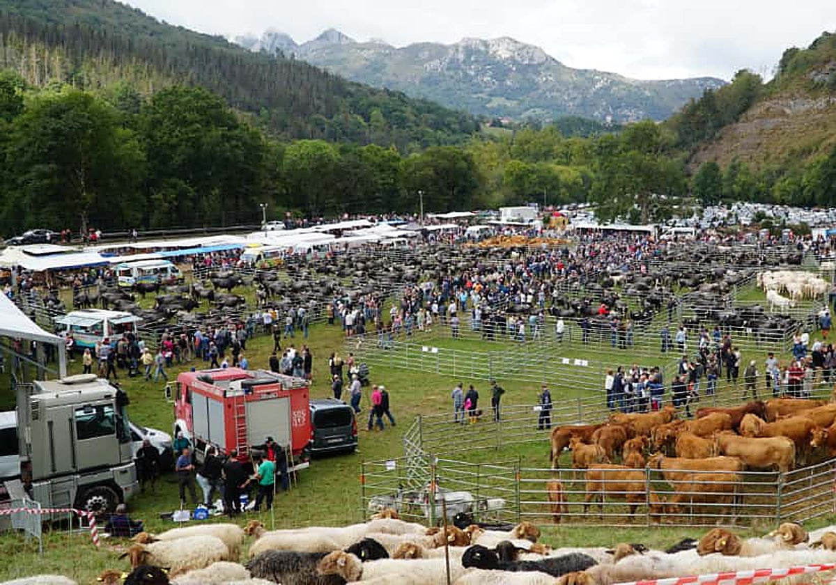Una feria para el recuerdo en el Prado Socollo