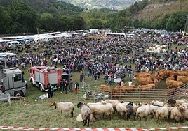 El Prado Socollo registró la mayor presencia de ganado de toda su historia.