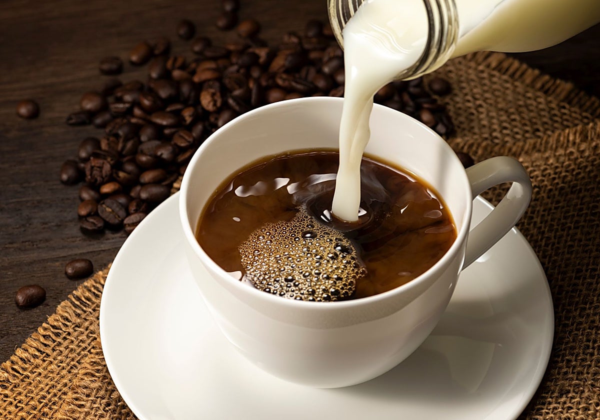 La leche es una gran aliada del café.