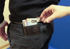 La cartera contenía la documentación de la víctima y 100 euros.