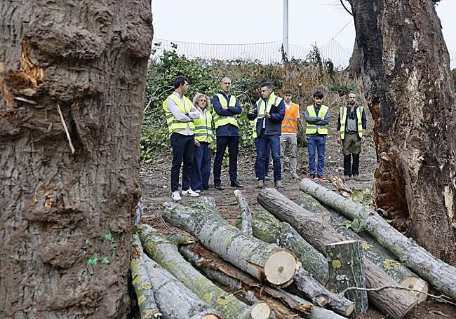 1,2 millones de inversión. Autoridades y personal de las empresas encargadas visitan las labores que se llevan a cabo.