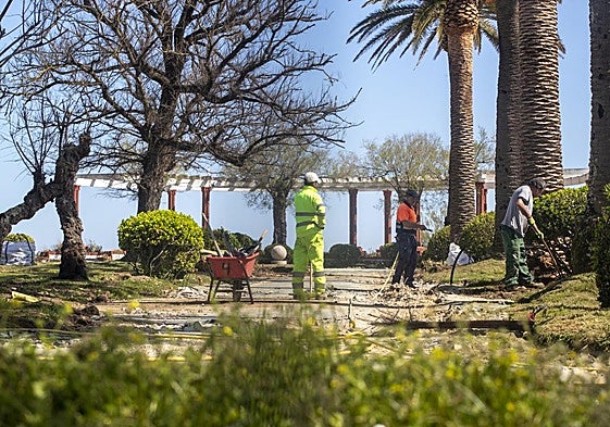 Varios operarios trabajan en la renovación de los Jardines de Piquío, en El Sardinero.