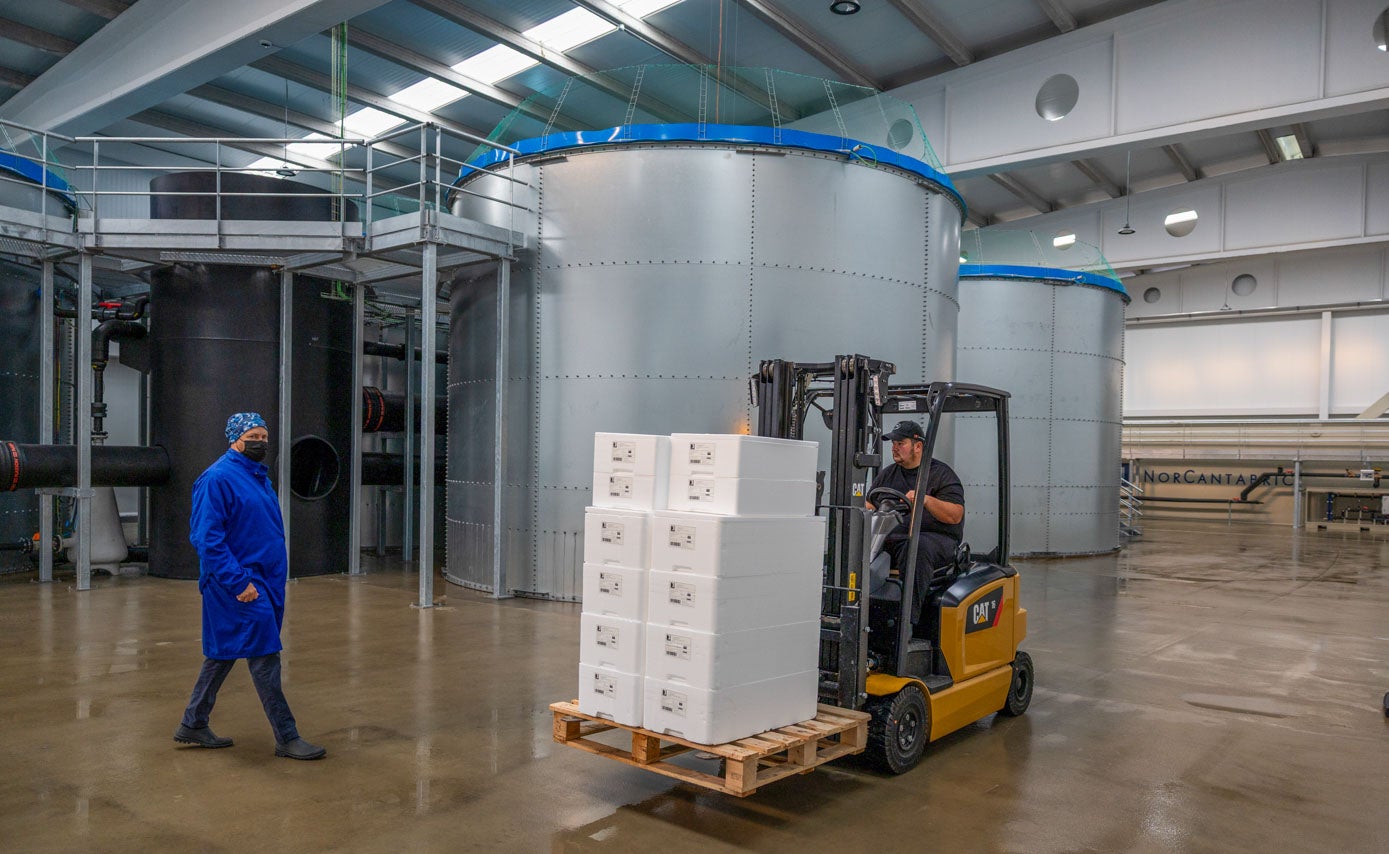 La capacidad actual de la planta es de 100 toneladas.