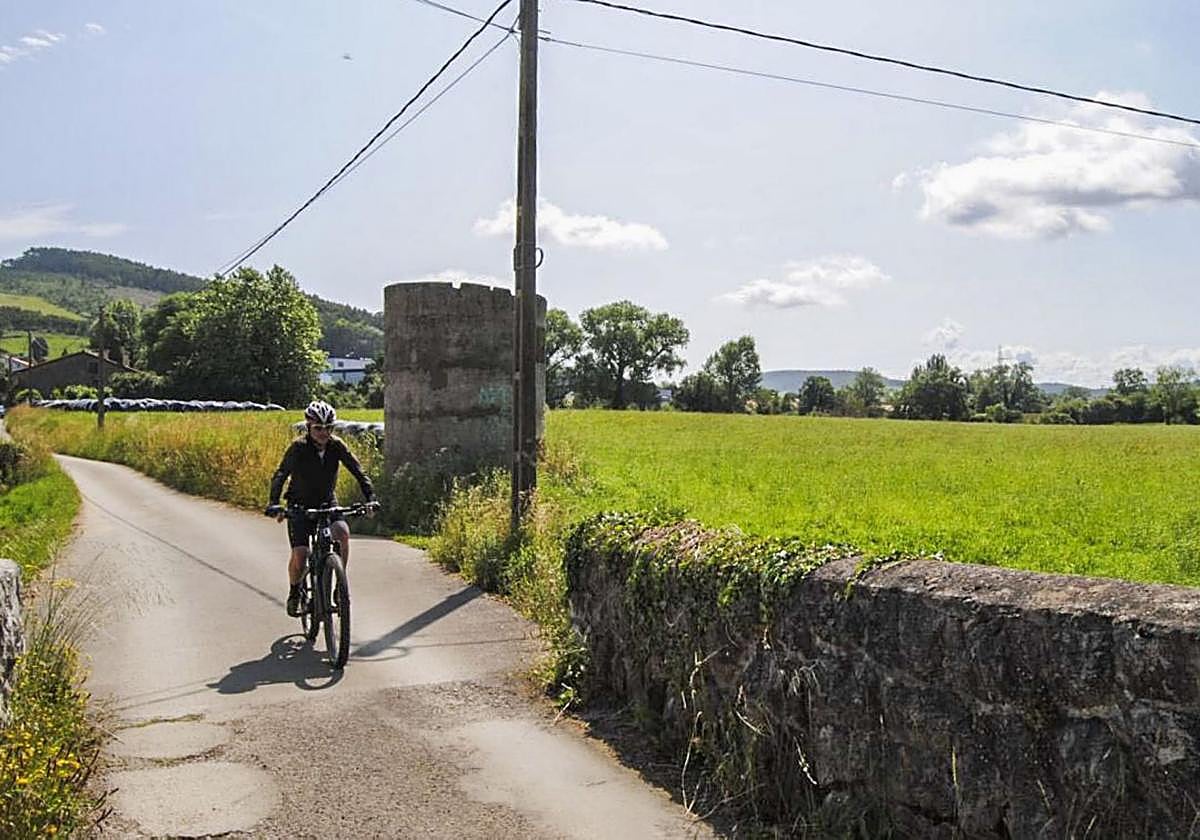 Parcela verde en la que se proyectan las piscinas.
