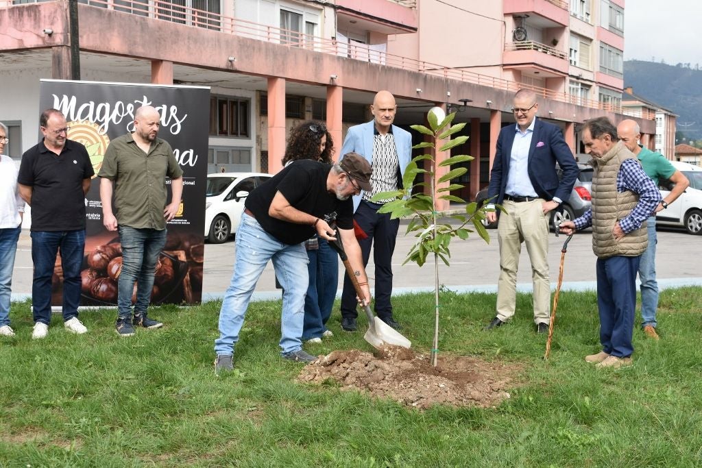 Este año le tocaba elegir el lugar de la plantación a la peña Los Papis, presidida por José Luis Salmón.