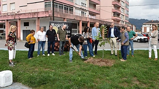 Las 'Magostas de Buelna' se estrenan como Fiesta de Interés Turístico Regional