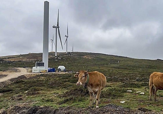 Los molinos que tienen ya instaladas las aspas.