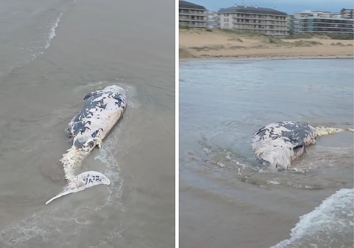Estas son las cinco noticias del día en Cantabria
