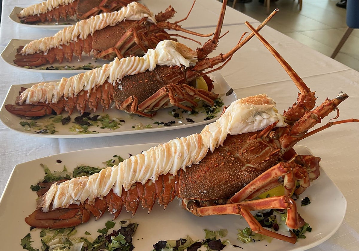 Langostas cocidas el día de la presentación de las jornadas y del menú degustación.